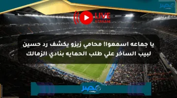 يا جماعة اسمعوا! محامي زيزو يكشف رد حسين لبيب الساخر على طلب الحماية بنادي الزمالك